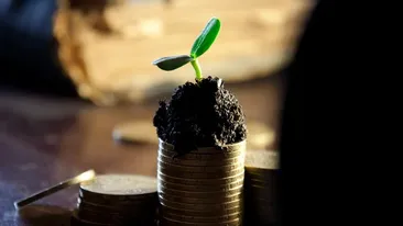 Curs valutar BNR joi, 11 februarie 2021. Euro s-a ieftinit azi, iar dolarul se află în scădere