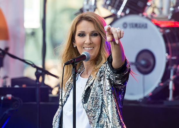 Gestul extrem al unui fan al cântăreței Celine Dion! Ce a putut să facă după ce a consumat câteva pahare de alcool în plus