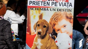 Ruby, Noaptea Târziu și Niculina Stoican au participat la cel mai mare gest umanitar al anului! Pentru ce au militat artiștii?!