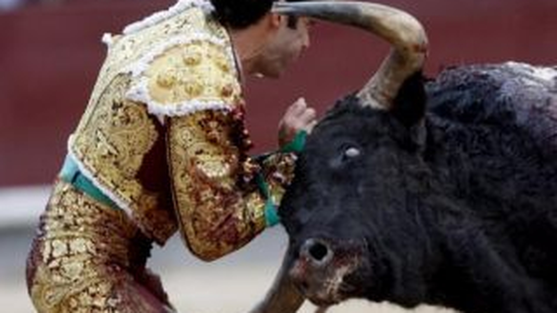 VIDEO Un toreador spaniol renumit a fost la un pas de moarte, fiind grav ranit de un taur