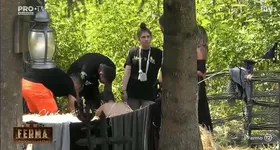 Galerie foto - poza 2