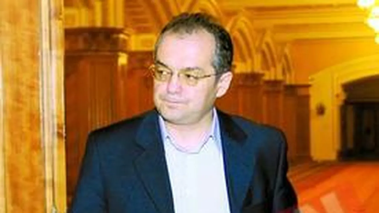 Boc doarme iepureste