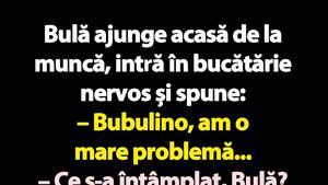 Bancul de luni | Bulă, Bubulina și persoana I plural