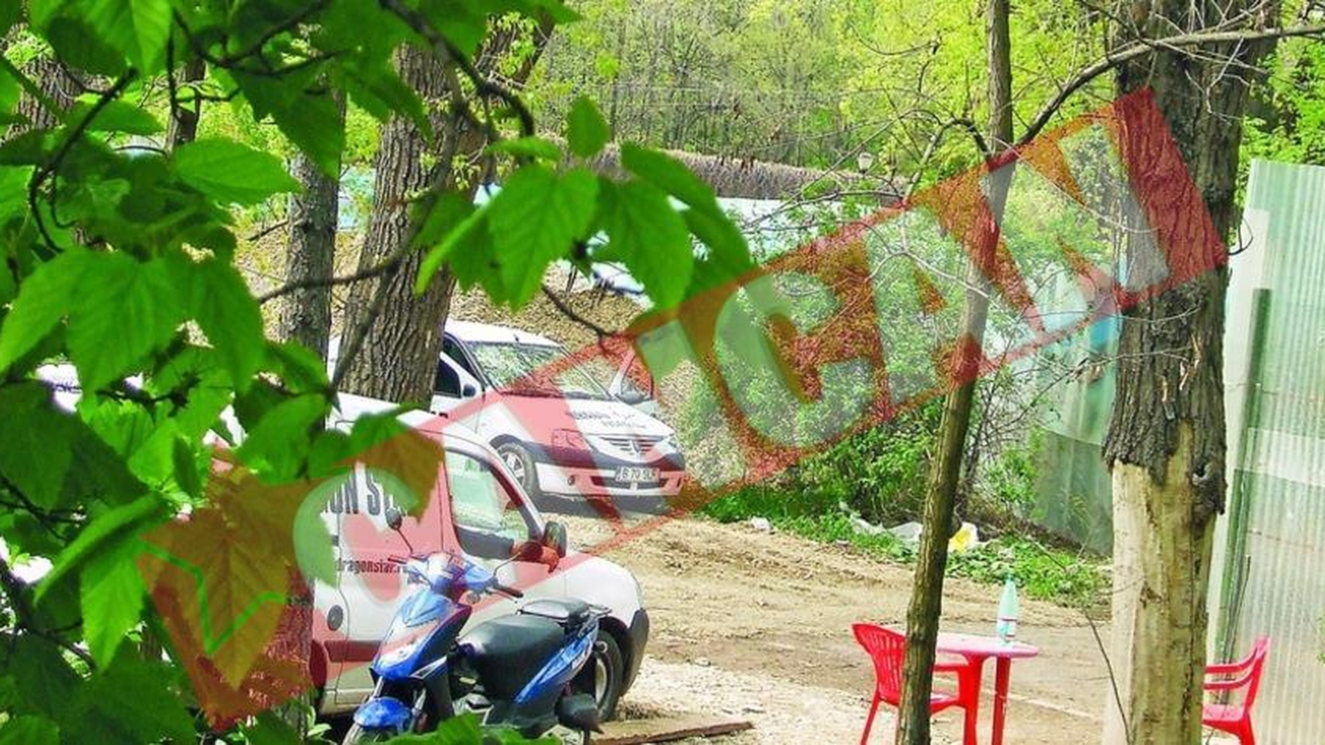 Au taiat zeci de copaci din parcul Herastrau