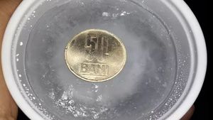 Ce se întâmplă dacă pui o monedă în congelator. Trucul care îți salvează alimentele atunci când pleci de acasă