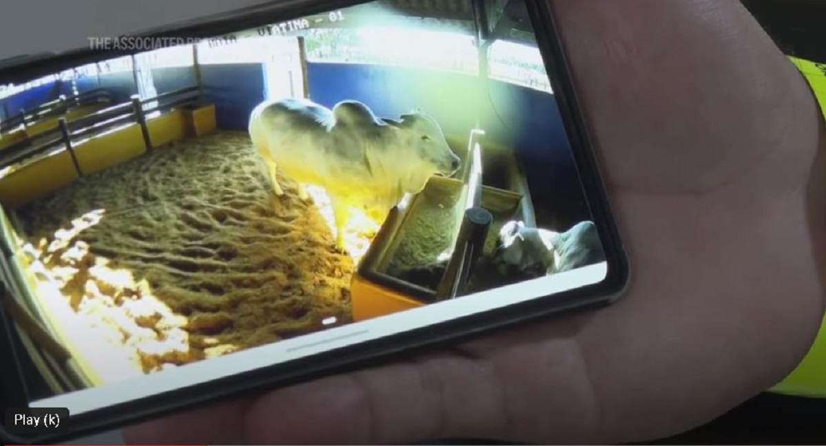 Viatina este supravegheată de camere de supraveghere/ sursă foto: captură video