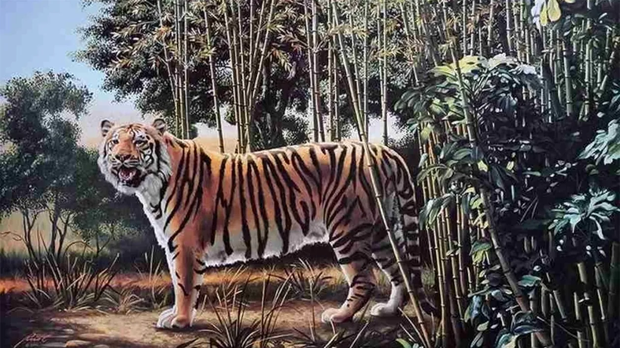 TEST IQ | Oricine poate vedea un tigru în această poză, însă doar un geniu îi poate vedea pe amândoi. Unde este al doilea?