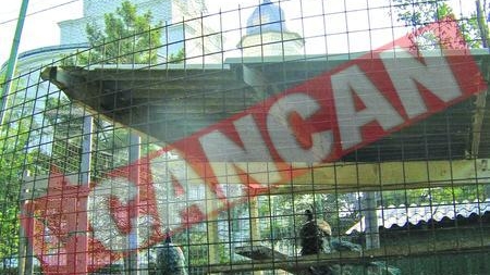 Gradina Zoologica de la manastirea Saon
