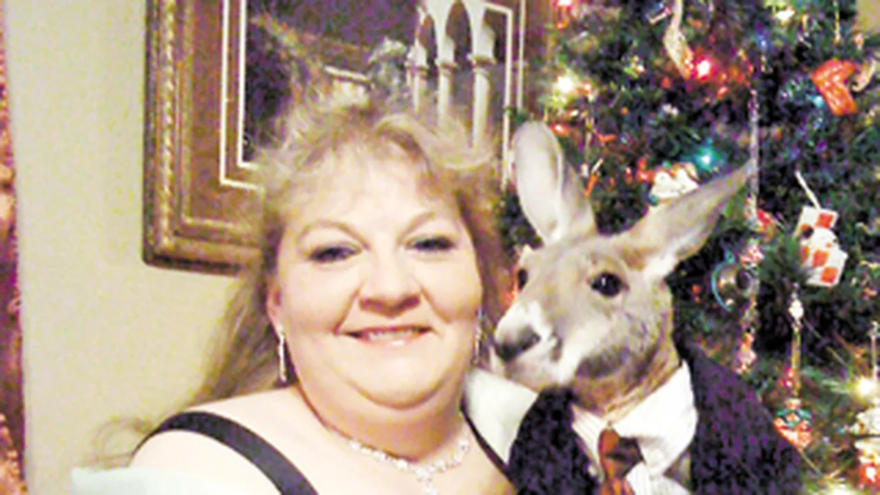 A adoptat un cangur paralizat