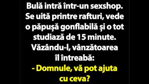 BANC | Bulă intră într-un sexshop