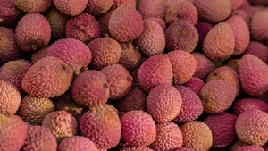 Litchii, fructele tropicale care previn îmbătrânirea. Cât costă un kilogram și ce beneficii îți aduc