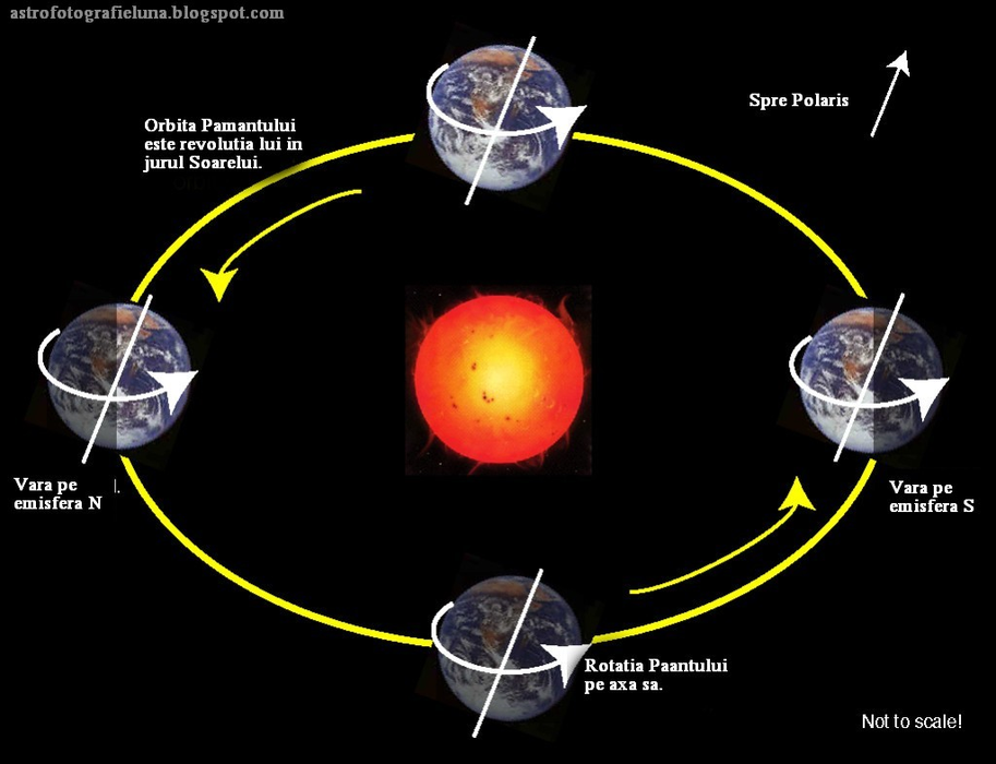 Mişcarea de rotaţie a Terrei, factor determinant al mişcărilor tectonice?