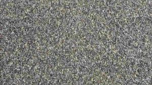 Test de inteligență | 98% din oameni nu văd unde se ascunde mina de creion din această poză