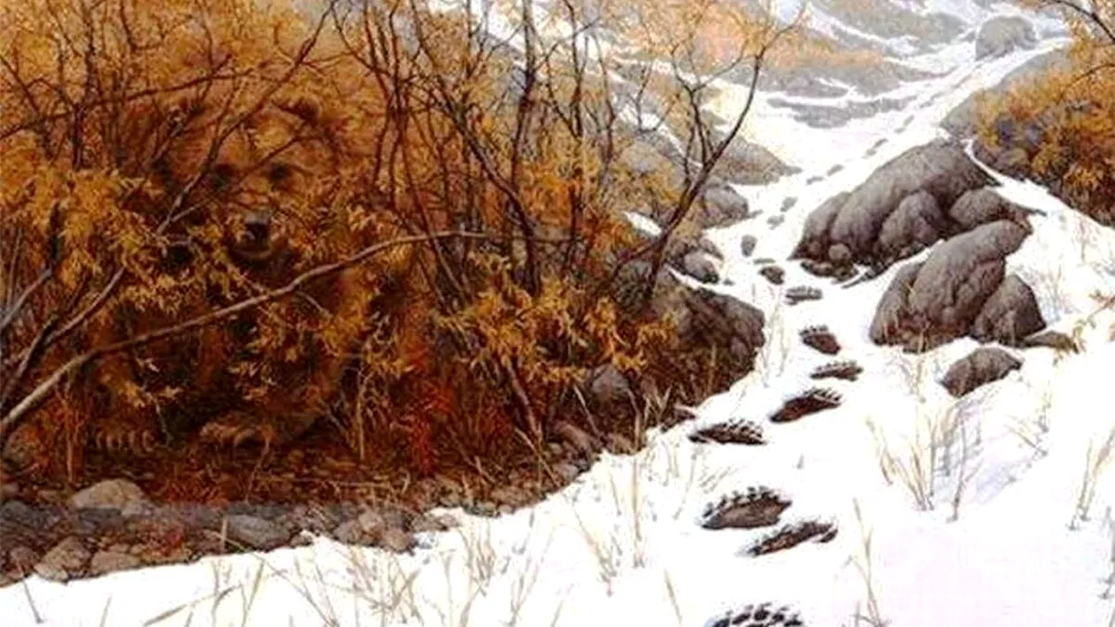 Test de inteligență exclusiv pentru genii | Ale cui sunt urmele de pași lăsate în zăpadă?