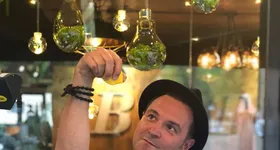 Galerie foto - poza 2