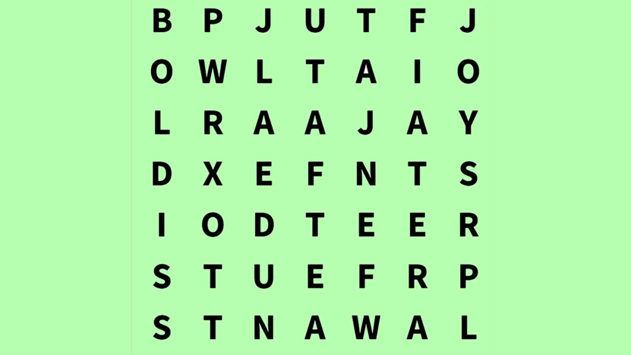 Test de inteligență | Găsiți cuvântul taxi în maximum 5 secunde!