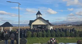 Galerie foto - poza 3