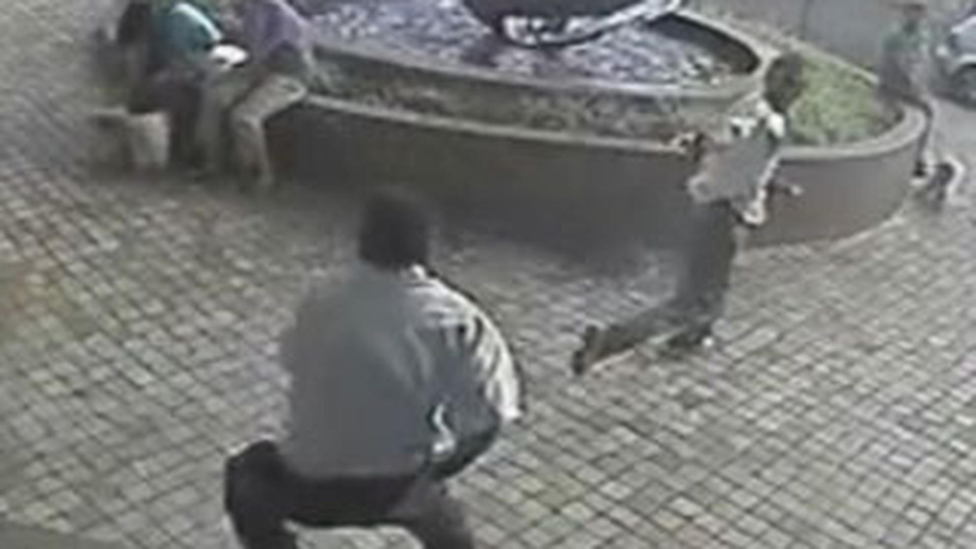 VIDEO Paznic impuscat in cap de un hot care a jefuit un supermarket