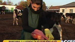VIDEO Andreea Tonciu a muncit la coada vacii! Afla cum s-a descurcat vedeta cu animalele de la ferma!