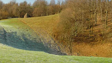 Cadavrul transat al unei femei a fost gasit pe un camp din Butea!