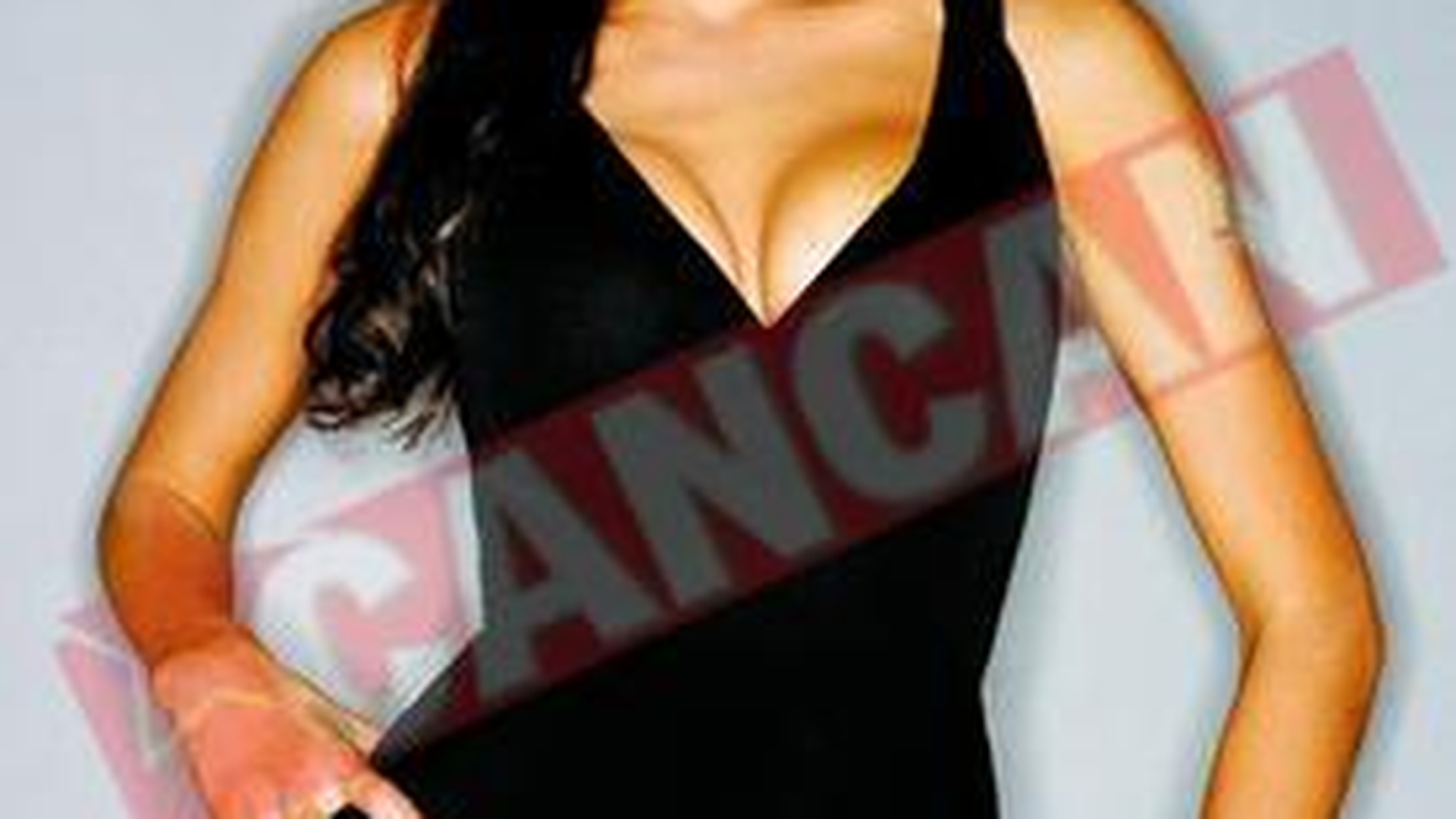 I-a facut 200 de tablouri Angelinei Jolie