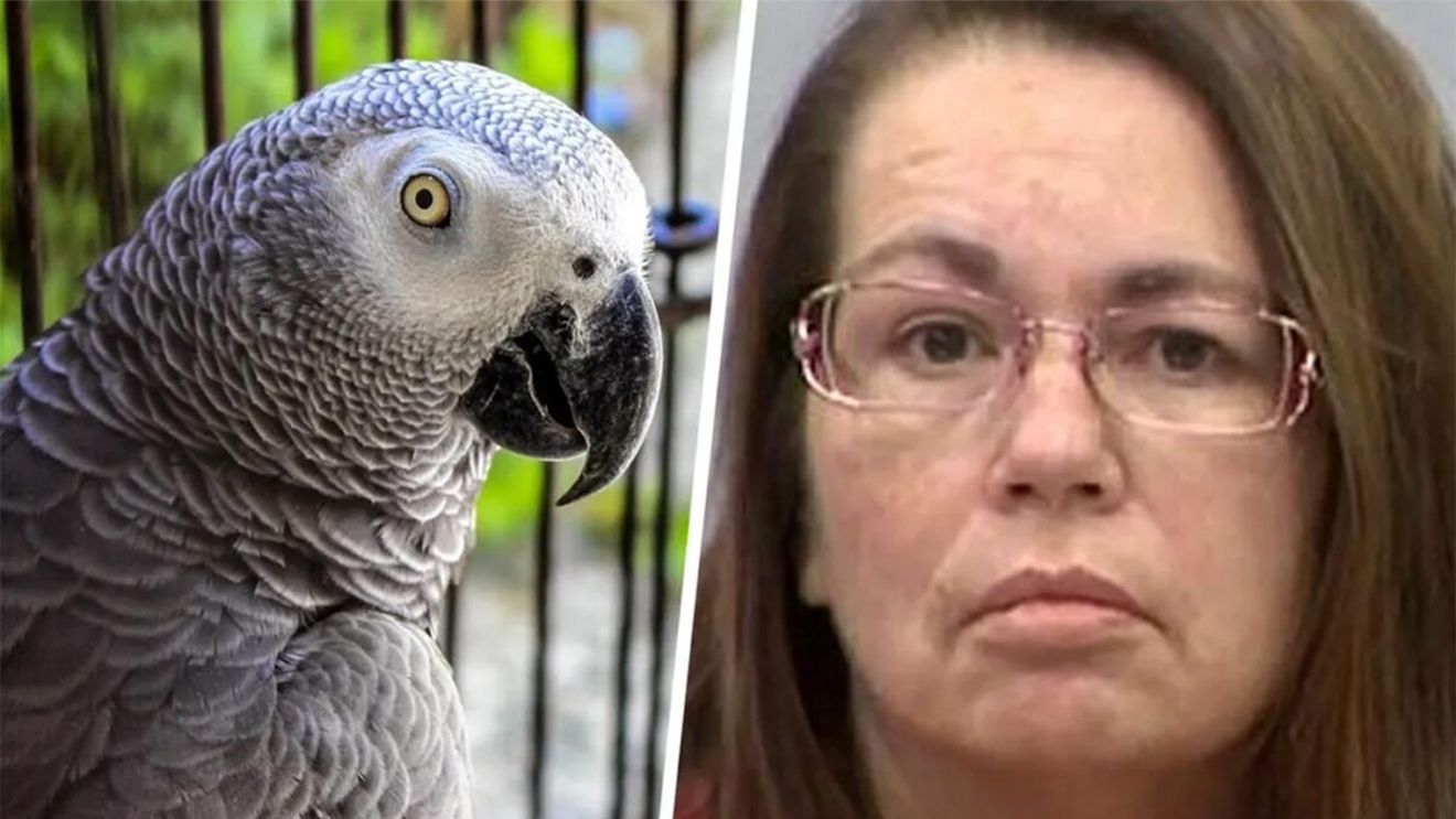 Această femeie a fost dată de gol că și-a ucis soțul, după ce papagalul familiei a rostit ultimele lui 6 cuvinte. Care sunt acestea