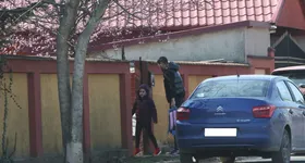 Galerie foto - poza 3