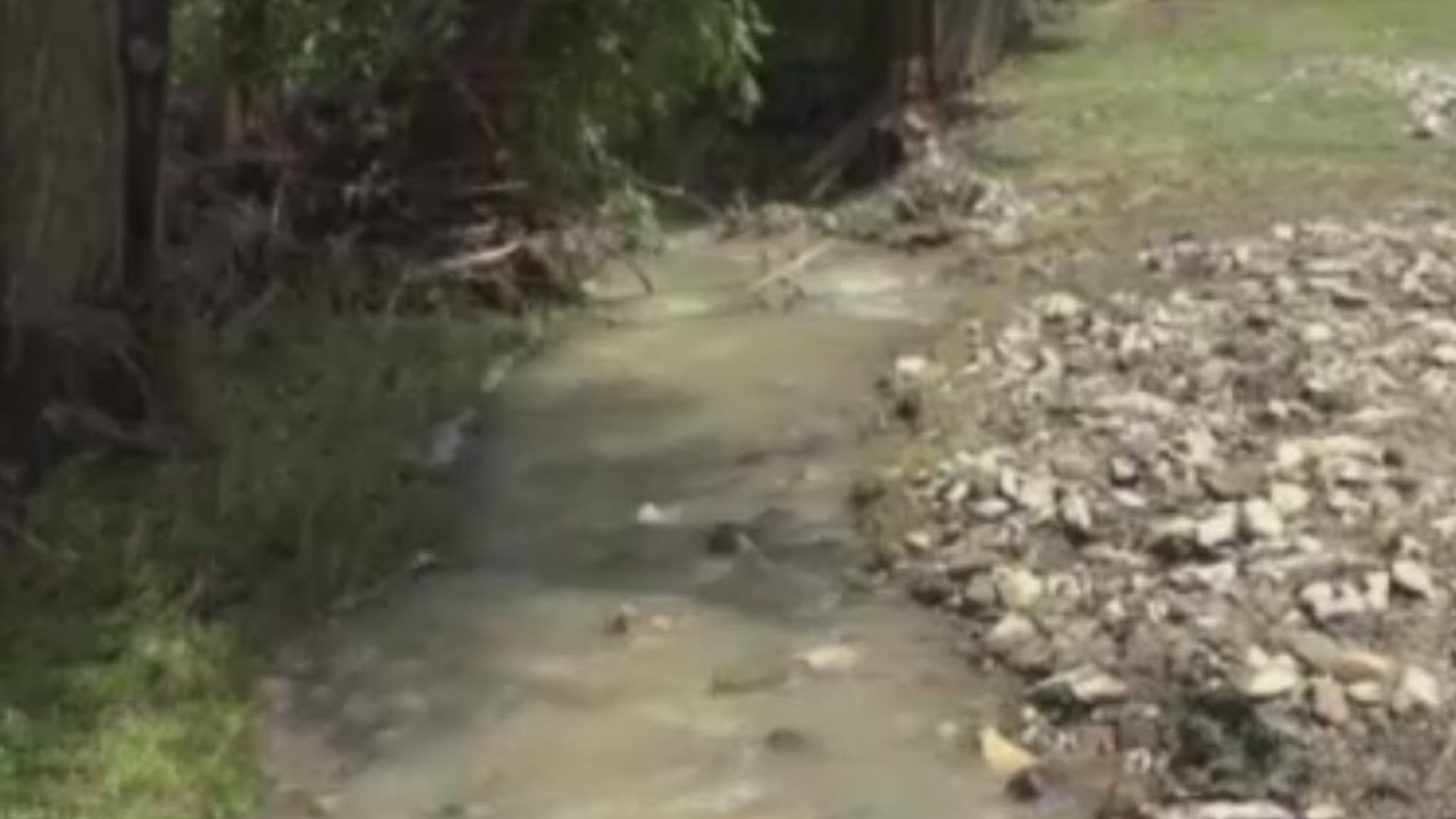 Un bărbat s-a înecat încercând să treacă peste un pârâu, în Suceava