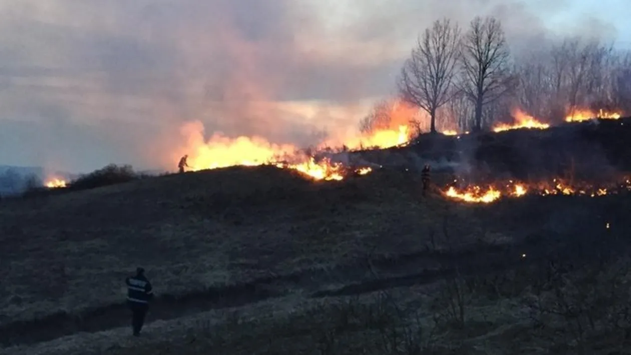 Restricții de circulație pe Valea Oltului, din cauza unui incendiu de vegetație