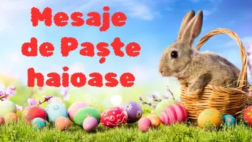 Mesaje de Paște haioase: Iepurași amuzanți și urări cu umor pentru prieteni și colegi