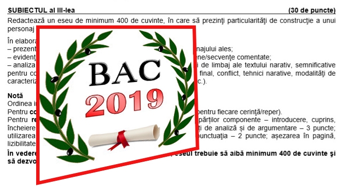 BAC 2019. Ce subiecte au picat la proba scrisă de la Limba și literatura română. Real și Uman