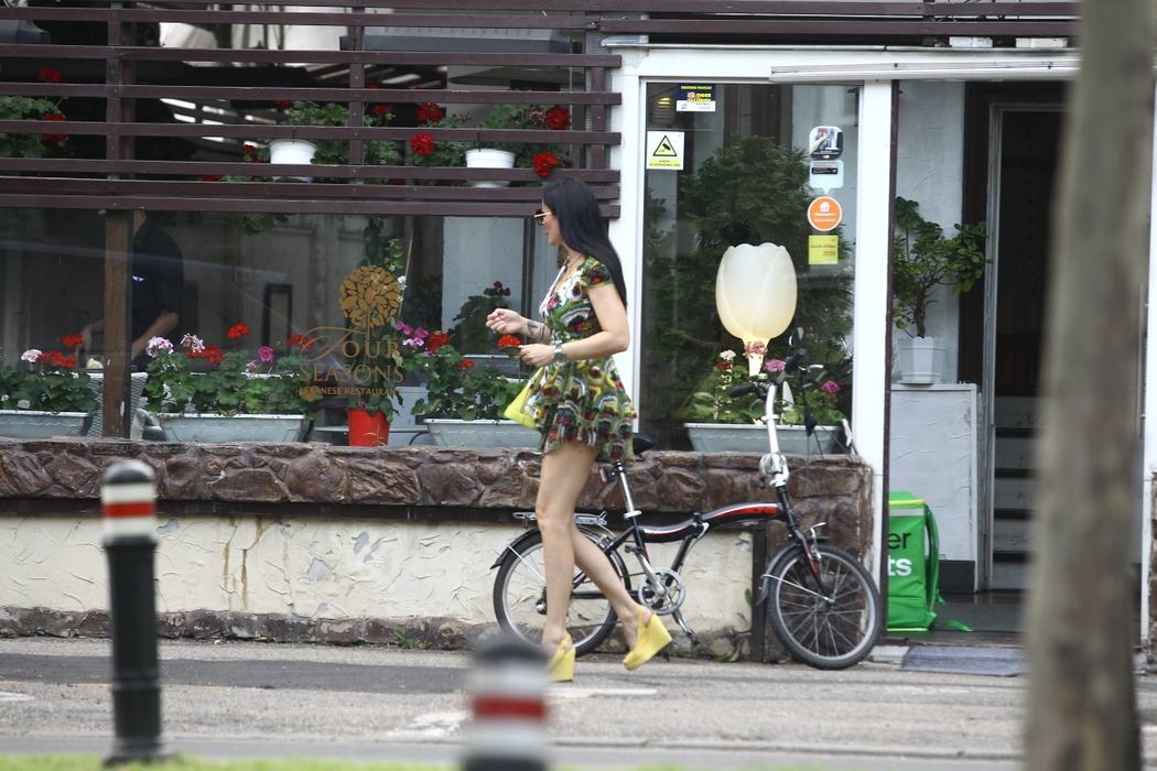 Brigite și Pastramă, au părăsit restaurantul  tunând și fulgerând