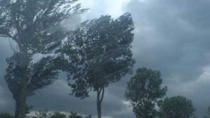 Avertizare meteo: Cod galben de vânt în această seară. Ce zone vor fi afectate?