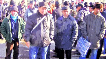 Nu a platit angajatii, si-a mai luat un Ferrari. Costica Rusu are colectie de masini de lux, dar uita sa-si plateasca oamenii