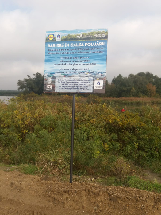 Voluntarii își propun să nu lase niciun pet să ajungă în Dunăre