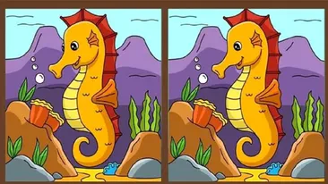 Test IQ | Există 3 diferențe între aceste imagini, însă doar cei mai inteligenți le pot observa
