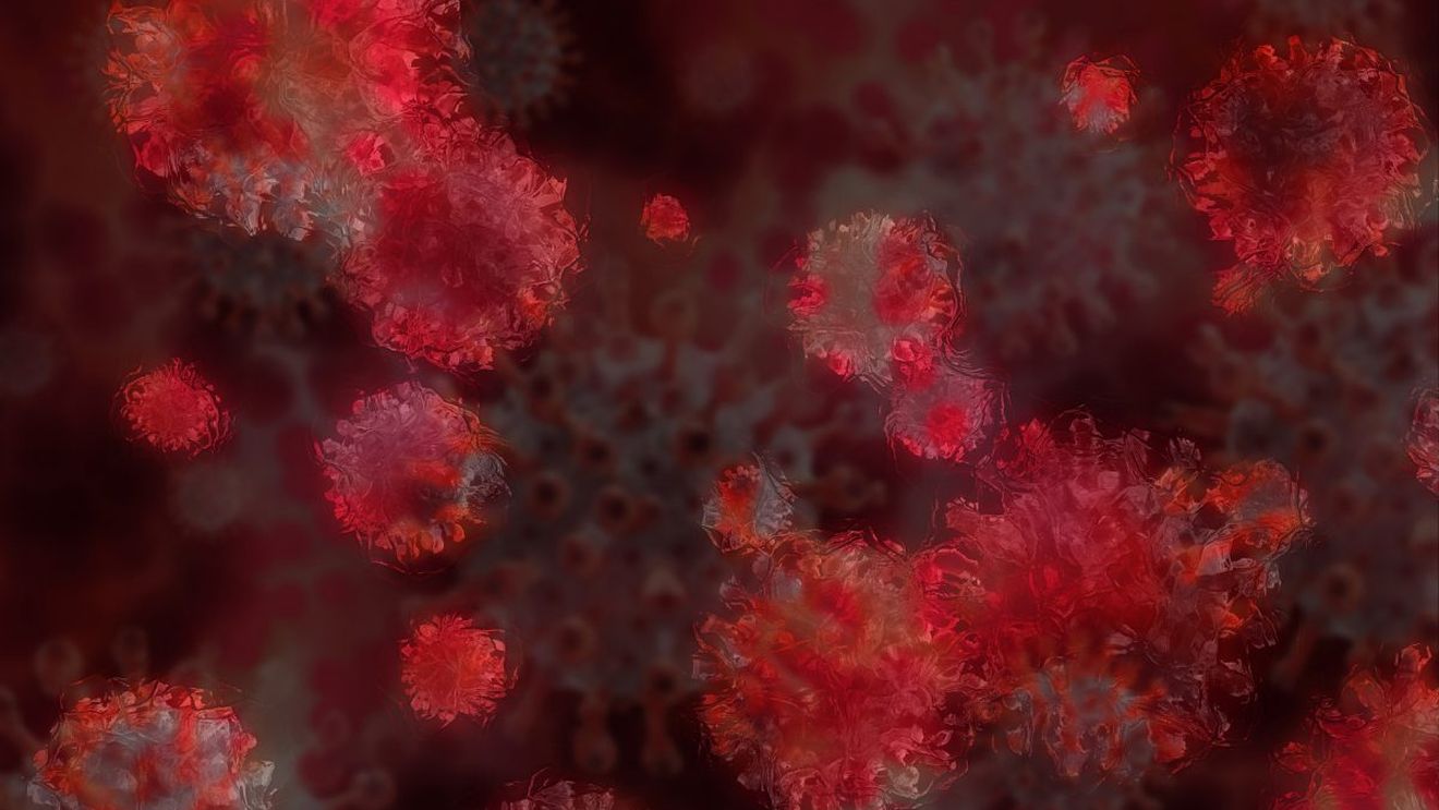 Coronavirus România, 24 decembrie. 4.310 cazuri noi SARS – CoV – 2 , în ultimele 24 de ore