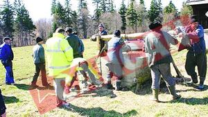 Suceveanca descoperita dupa trei ani, moarta intr-o fantana