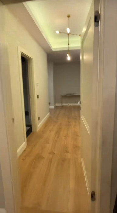Cum arată casa lui Sebastian Dobrincu. Sursă foto: Captură TikTok