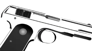 Doi frati ucisi de un vecin pentru ca ascultau muzica prea tare!