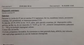 Galerie foto - poza 3