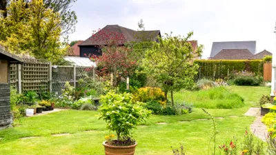 Lege pentru românii care stau la curte. Ce riscă proprietarii care nu respectă linia de hotar