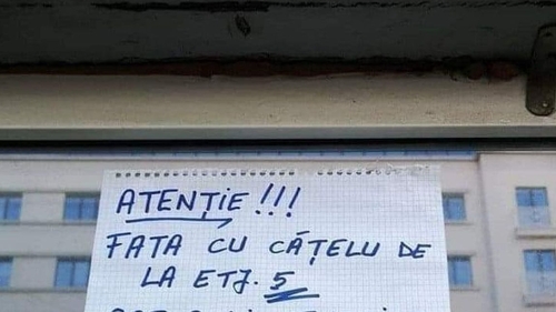 Anunțul de la avizierul unui bloc din București face ravagii pe internet. Ce a putut să scrie un locatar depășește orice imaginație