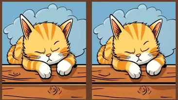 Test de perspicacitate | Găsiți toate cele 3 diferențe între cele două pisici din imagine, în maximum 23 de secunde