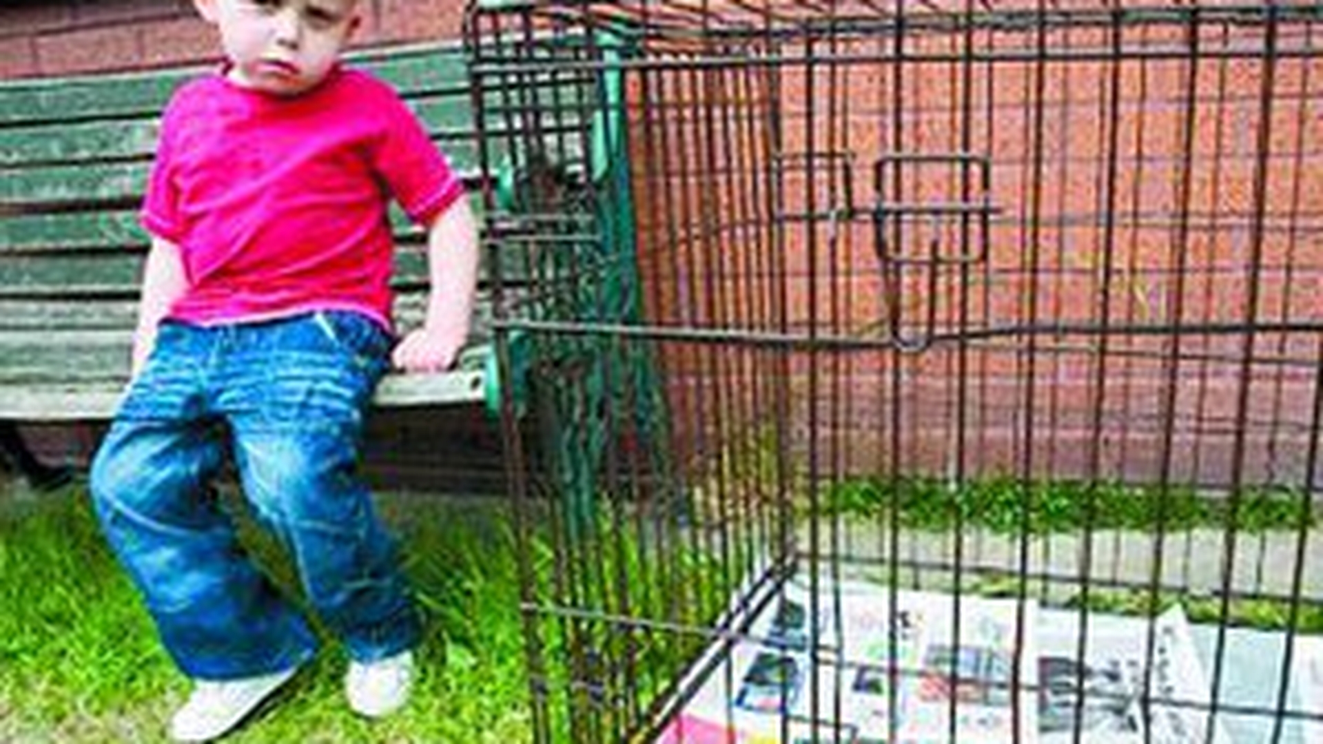 A ramas mut cand i-au furat catelusa