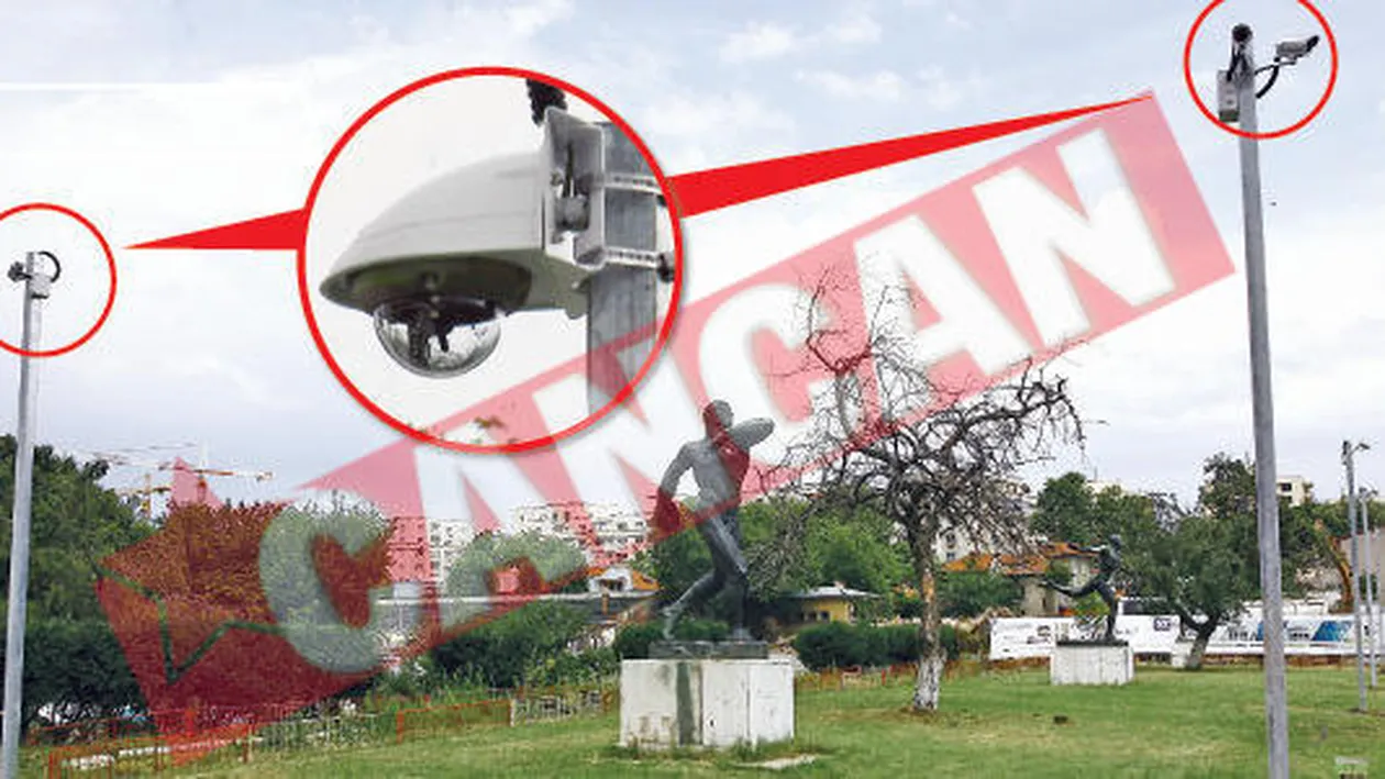 Dinamo a pus lupa pe suporteri