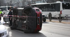 Galerie foto - poza 1