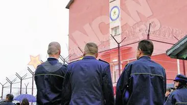 Premiera absoluta la Iasi. Hotii si violatorii, angajati sa vanda produse si servicii italienilor