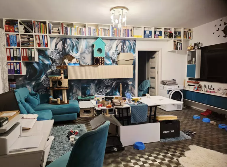 Mihai Trăistariu și-a transformat complet apartamentul. Cum arată livingul dedicat pisicilor