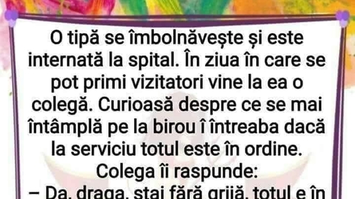 BANC | "Totul e în ordine la birou, am împărțit atribuțiile tale"